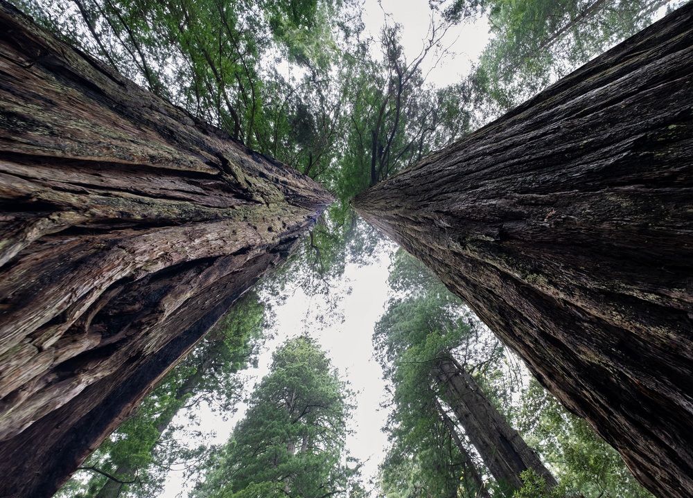 Photograph by Marina Poushkina