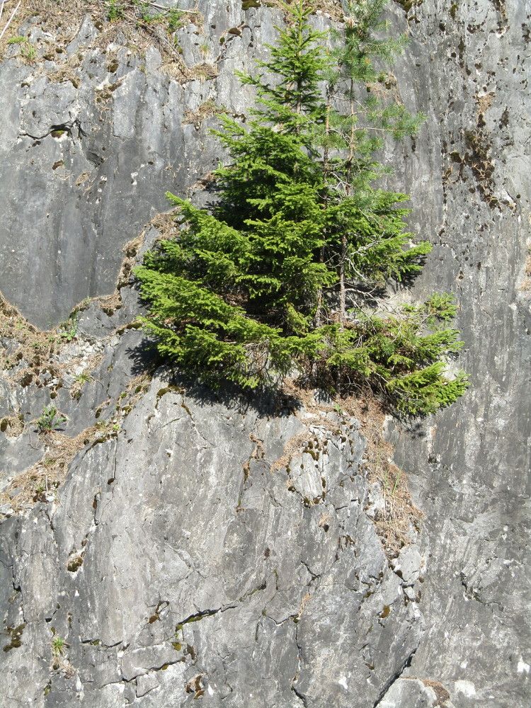 Photograph by Татьяна Смирнова