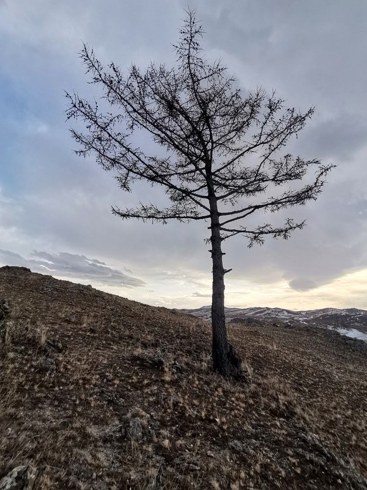 Photograph by Ирина Садовникова