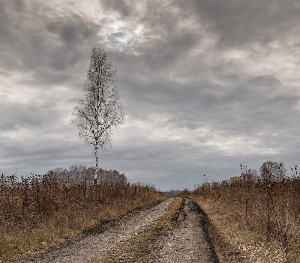 Photograph by Валерий Туманов