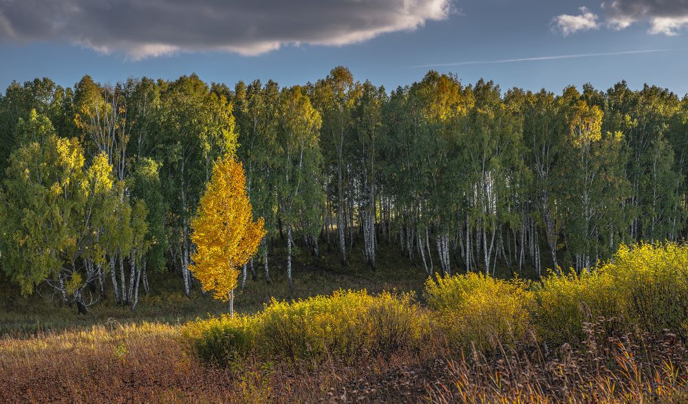Photograph by Валерий Туманов