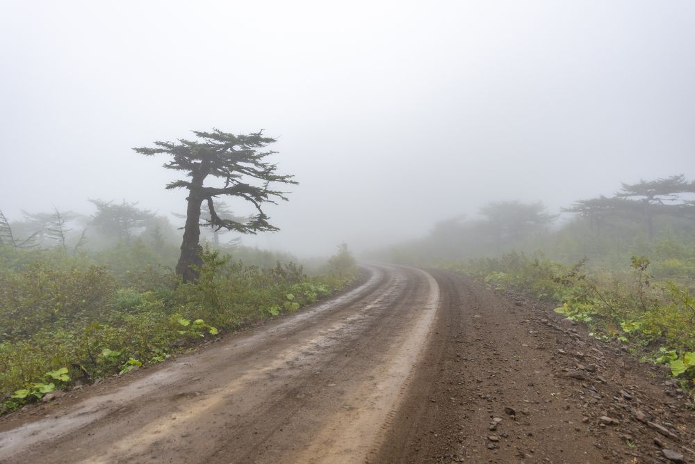 Photograph by Алексей Новиков