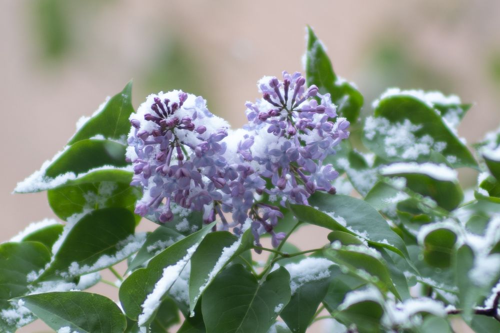 Photograph by Роман Шаров