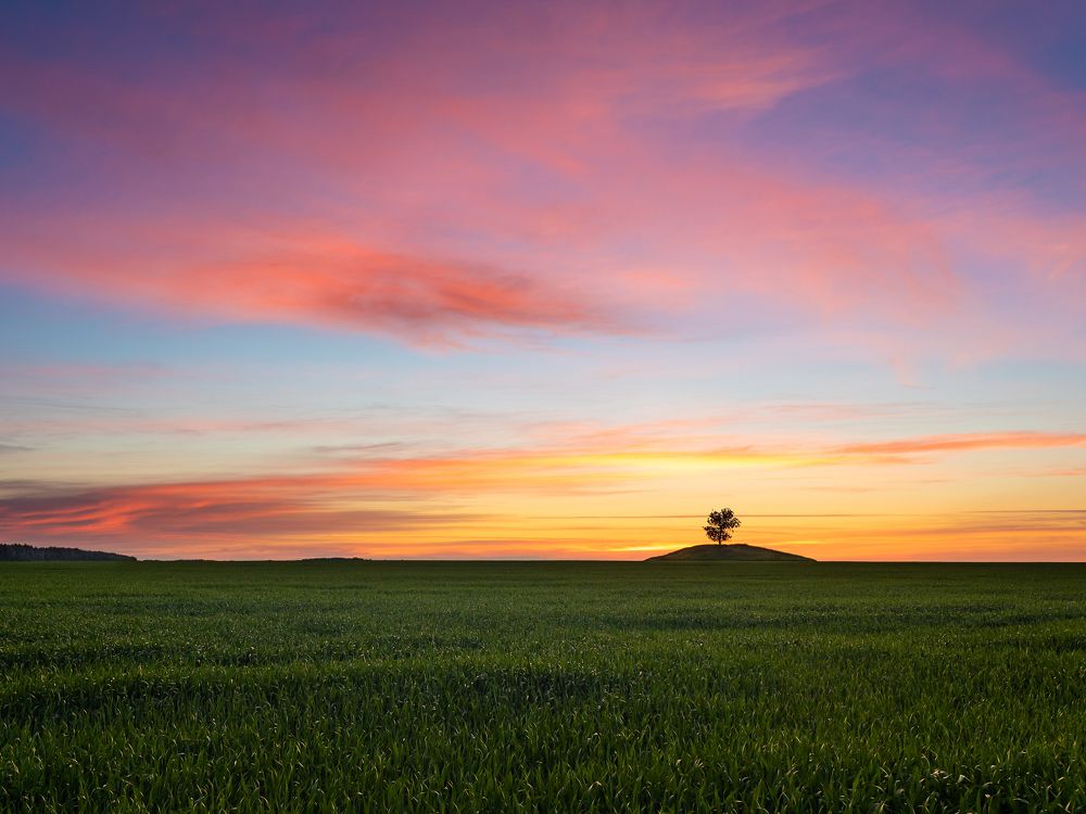 Photograph by Сергей Степанов