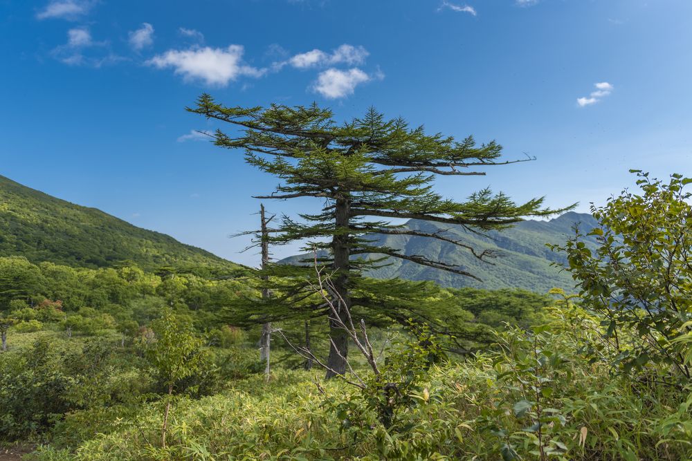 Photograph by Алексей Новиков