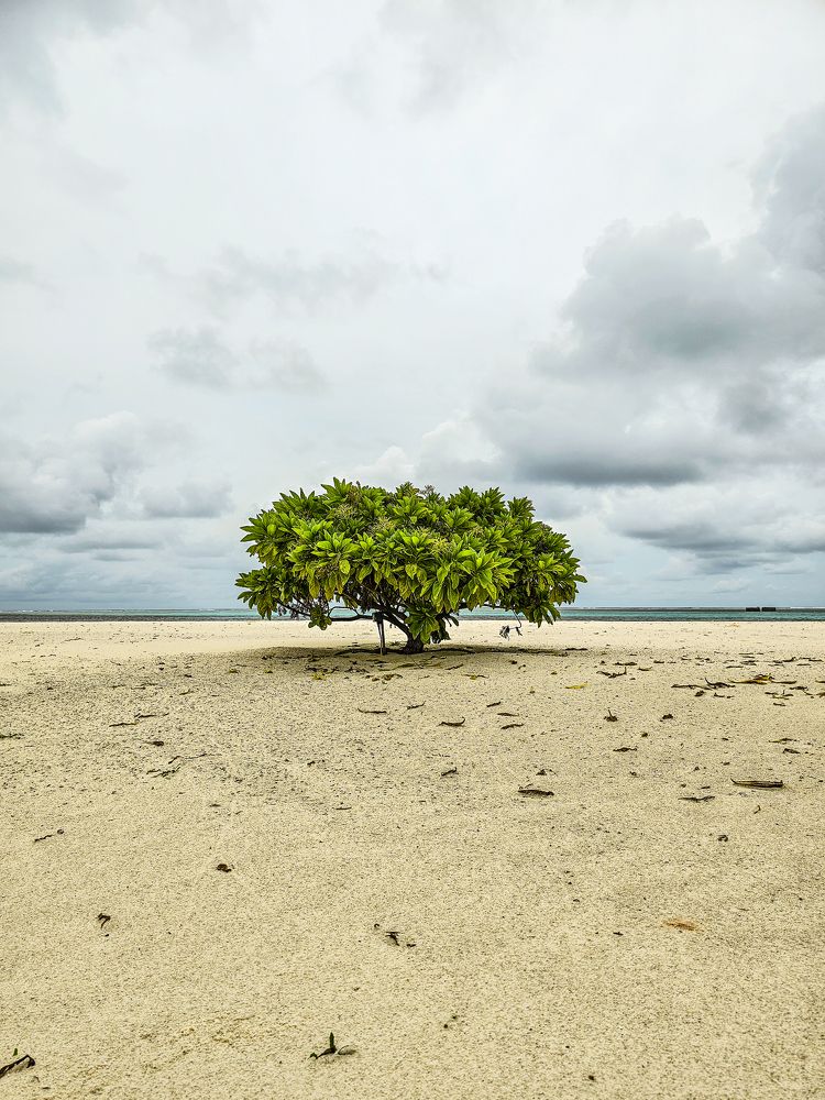 Photograph by Сергей Кесаев