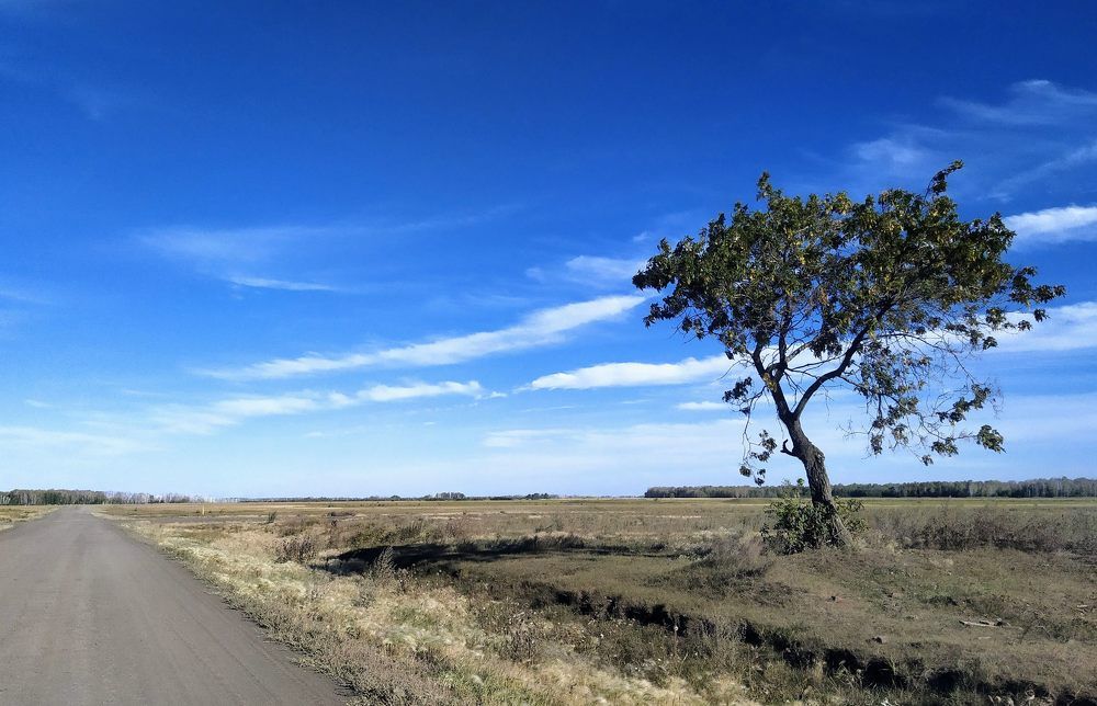 Photograph by Абрам Петерс