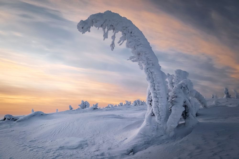 Photograph by Tatiana Meshcheryakova