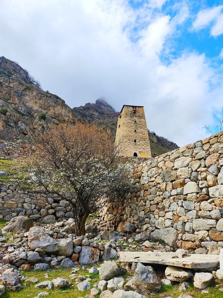 Photograph by Александра