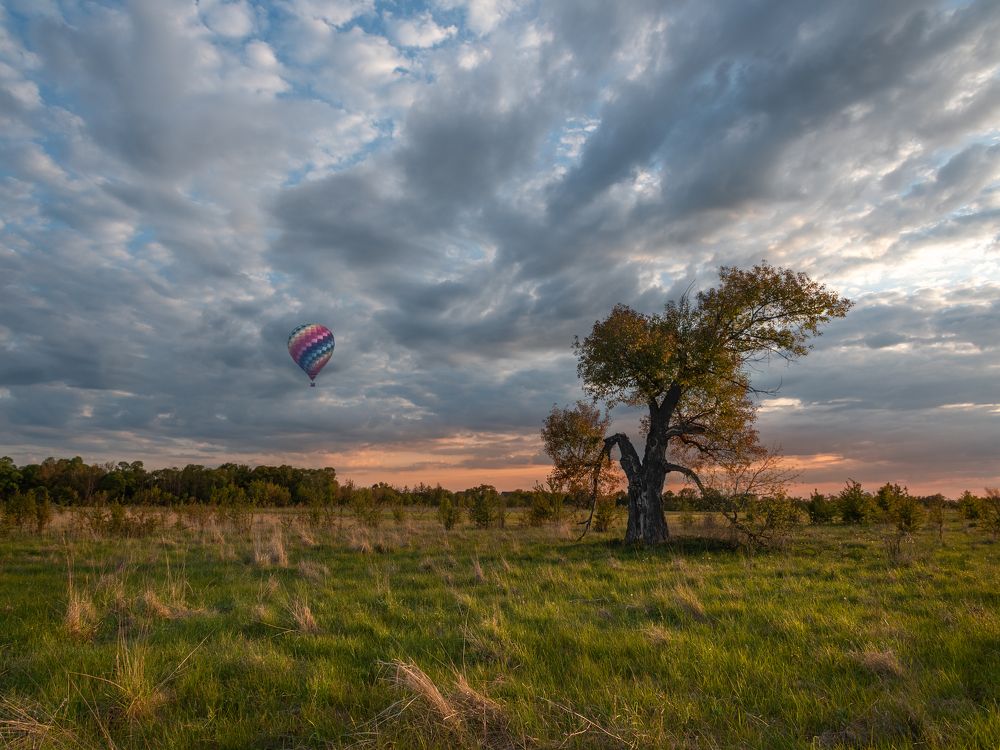 Photograph by Сергей Степанов