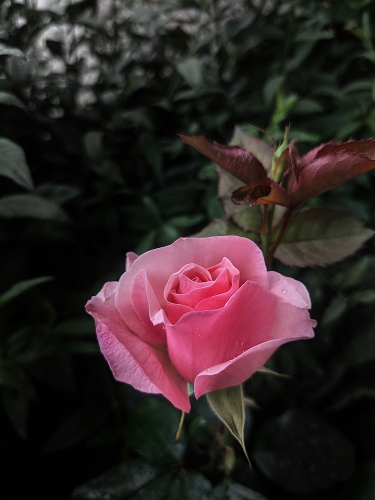 Photograph by Константин Косяков