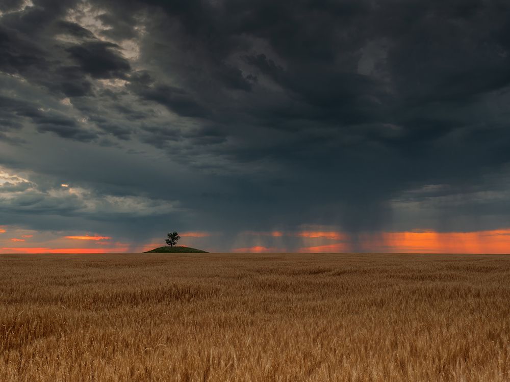 Photograph by Сергей Степанов