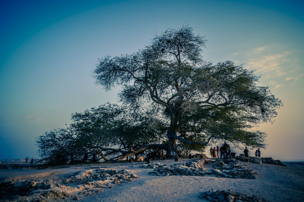 Фотография автора elias al sairafi