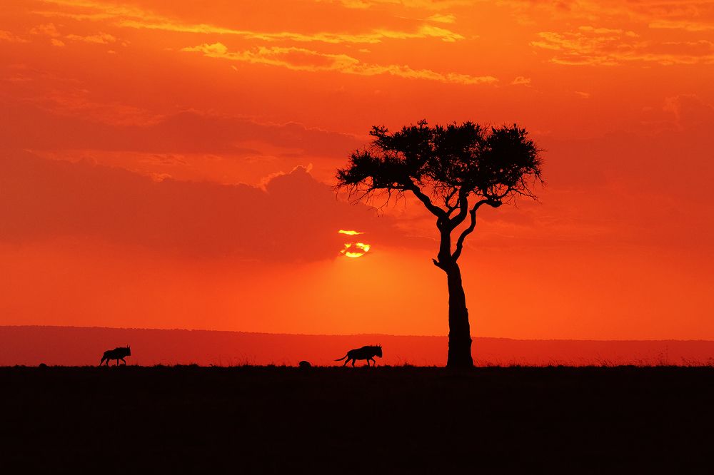 Photograph by Ирина Худзинская