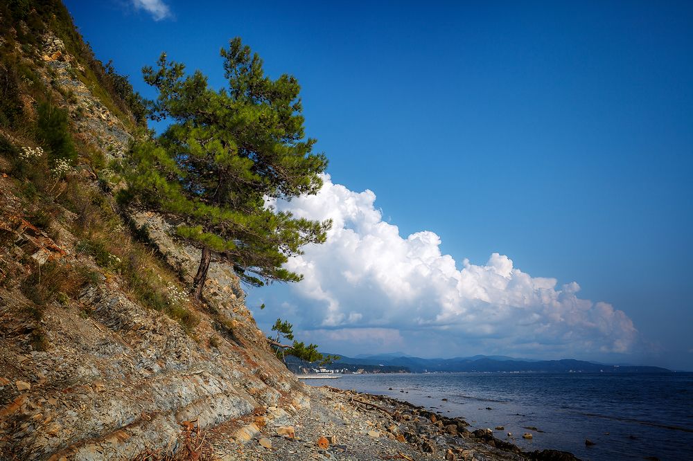 Photograph by Алексей Трифонов