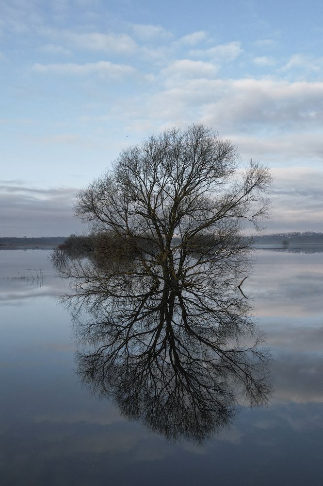 Photograph by Дмитрий Костяков