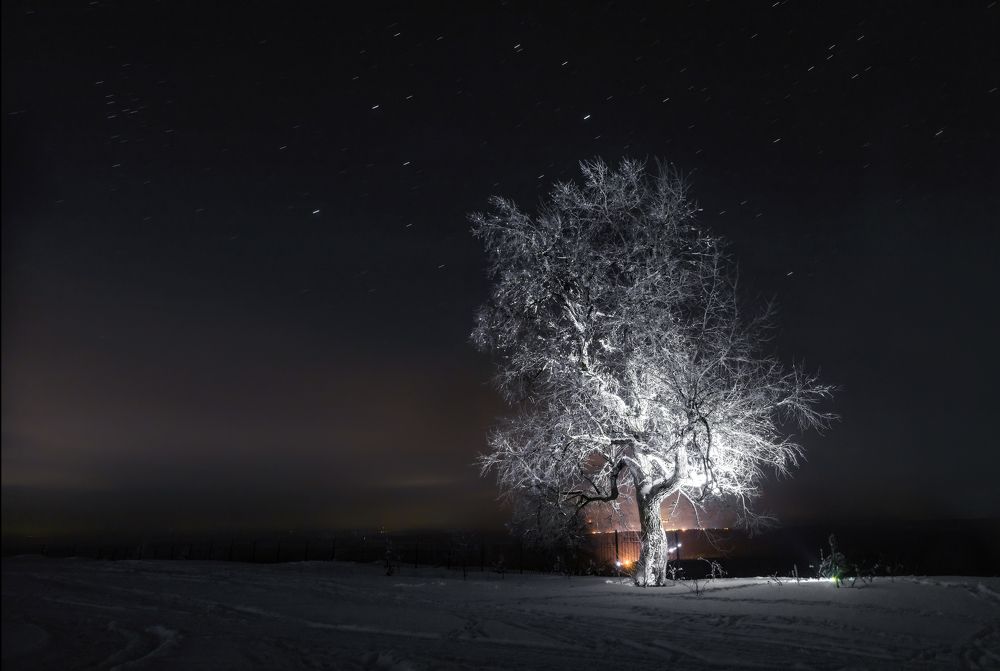 Photograph by Соколова Елена