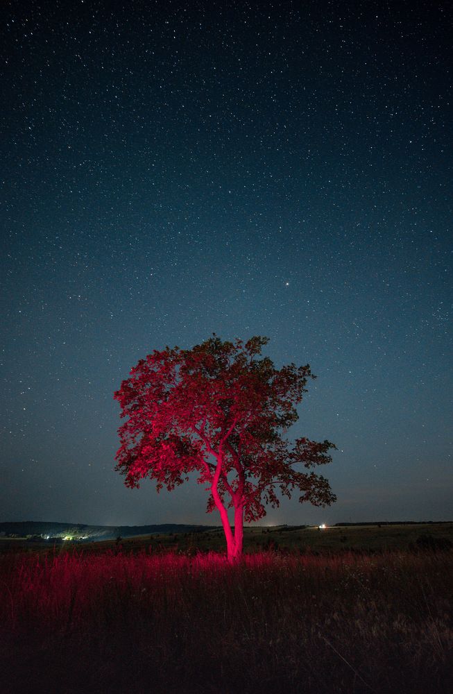 Photograph by Александр Воднев