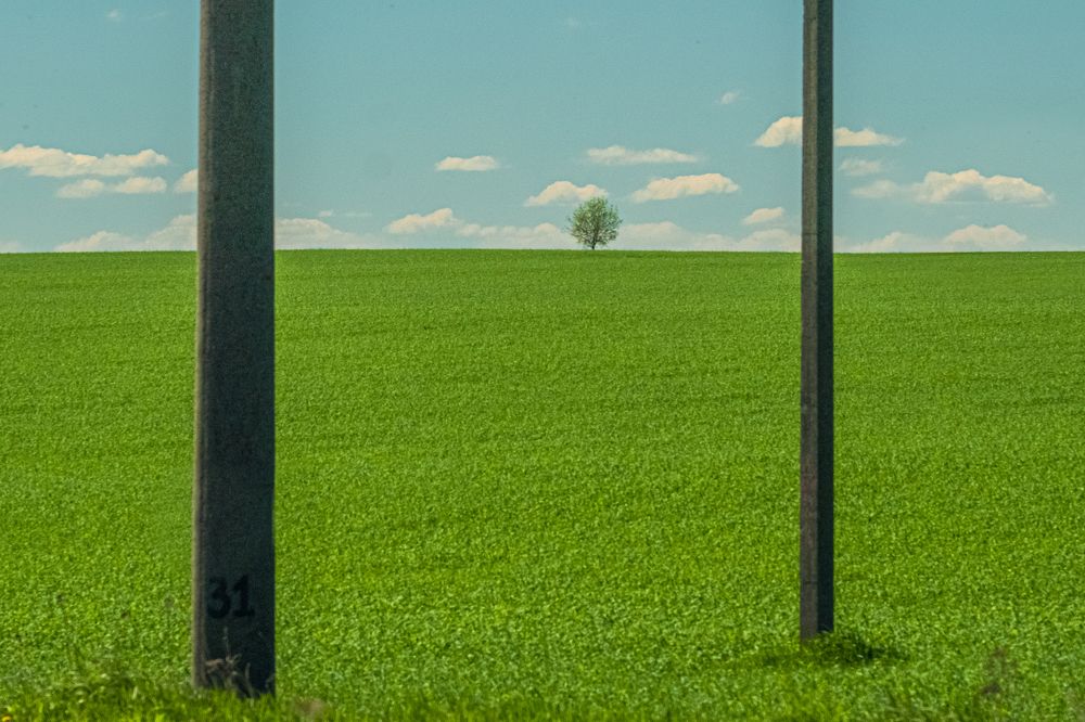 Photograph by БОРИС БЕЛКАНИЯ