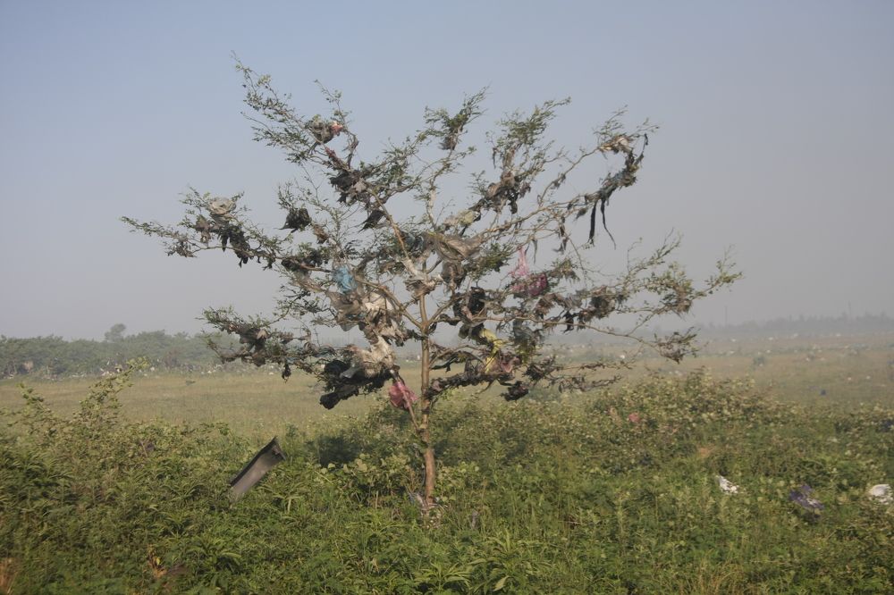 Photograph by Малхази Ахвледиани