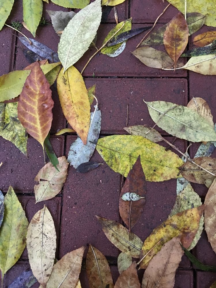 Photograph by Вера Сдвижкова