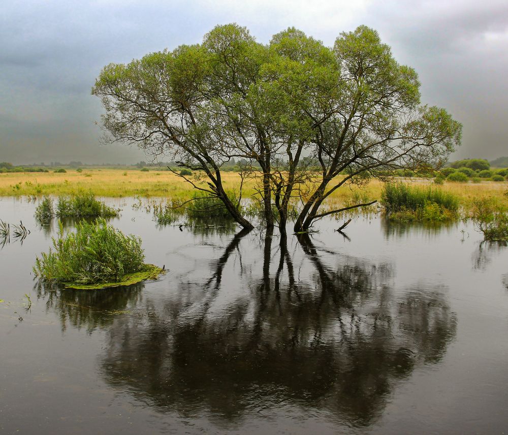 Photograph by Сергей Иванов