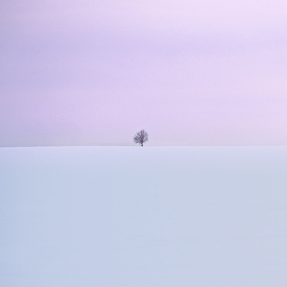 Photograph by БОРИС БЕЛКАНИЯ