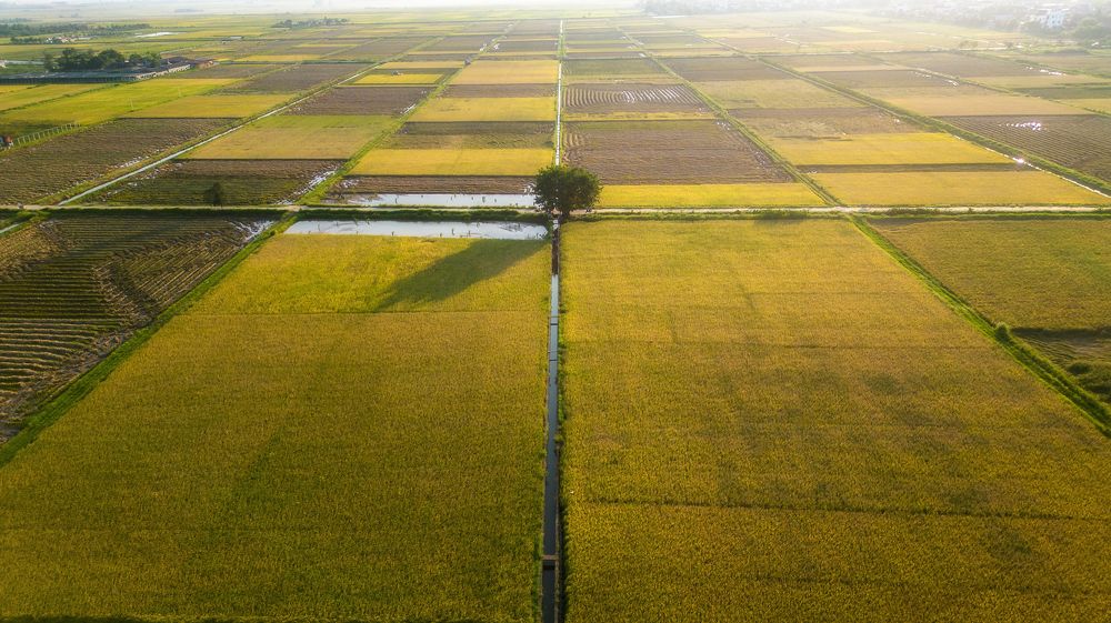 Photograph by Ba Hung Do