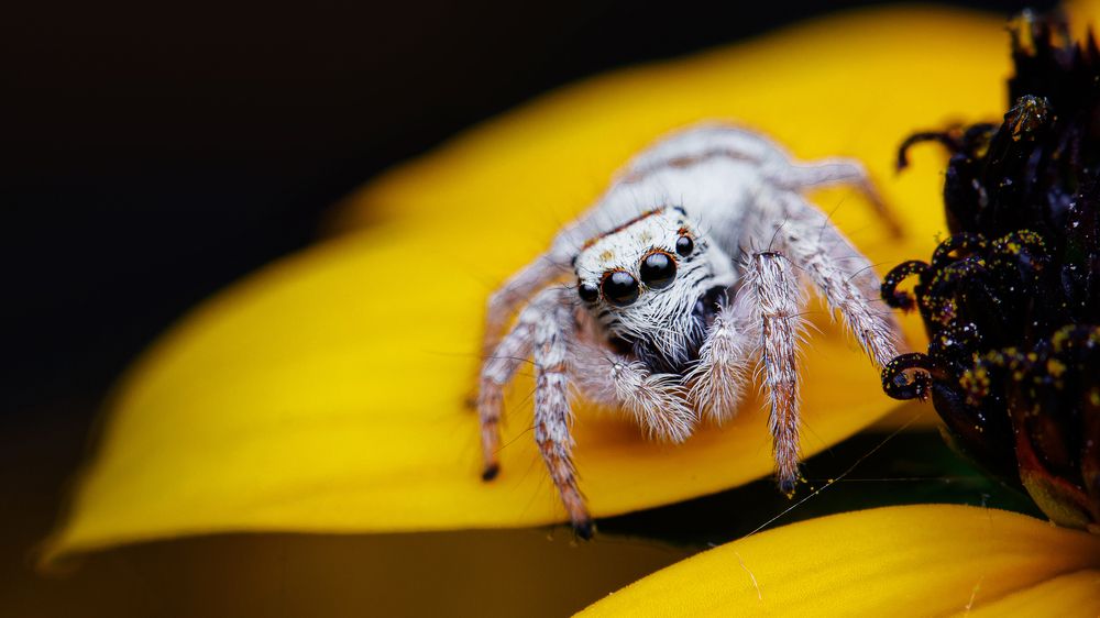 Photograph by Михаил Шпирко