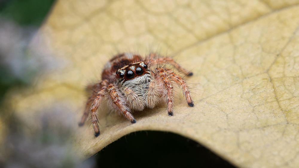 Photograph by Михаил Шпирко