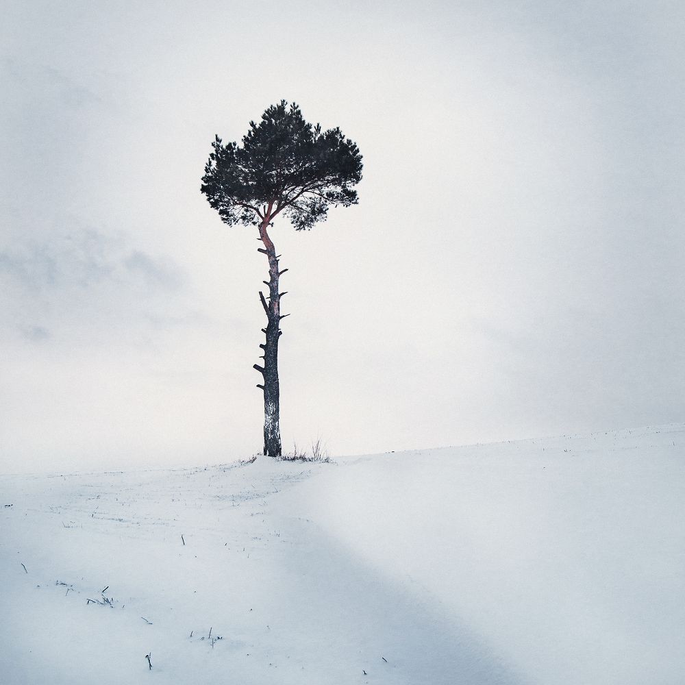 Photograph by Aliaksei Shandalin