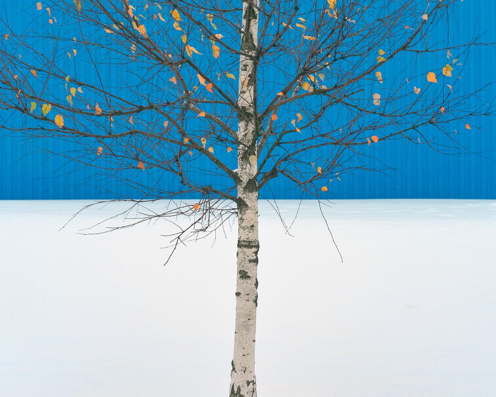 Photograph by Aliaksei Shandalin