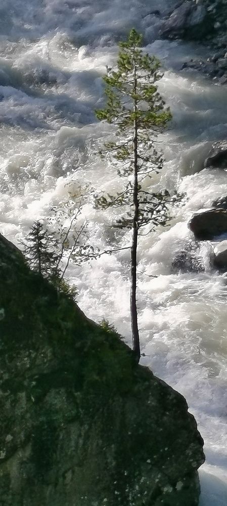 Навстречу со стихией