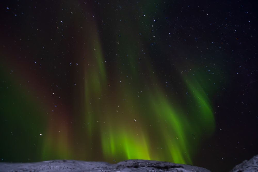 Photograph by Elena Levi