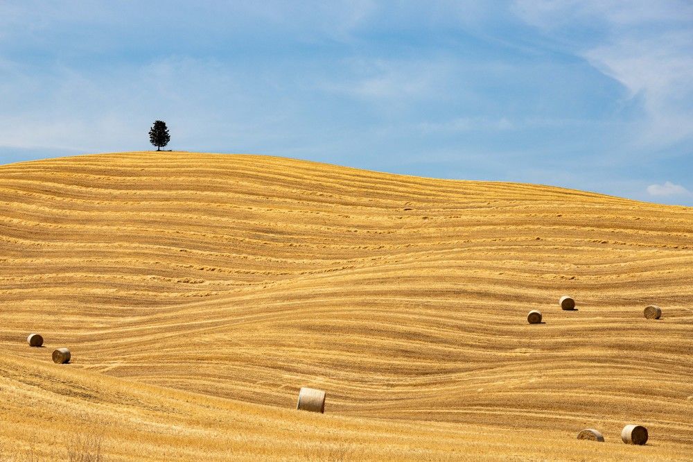 Photograph by Elena Levi