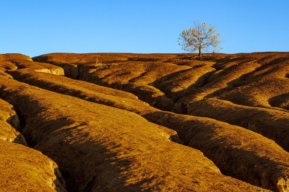 Photograph by Elena Levi