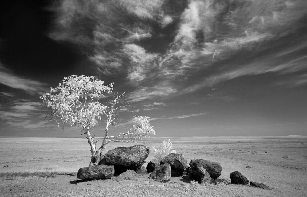 Фотография автора Грачёв Олег