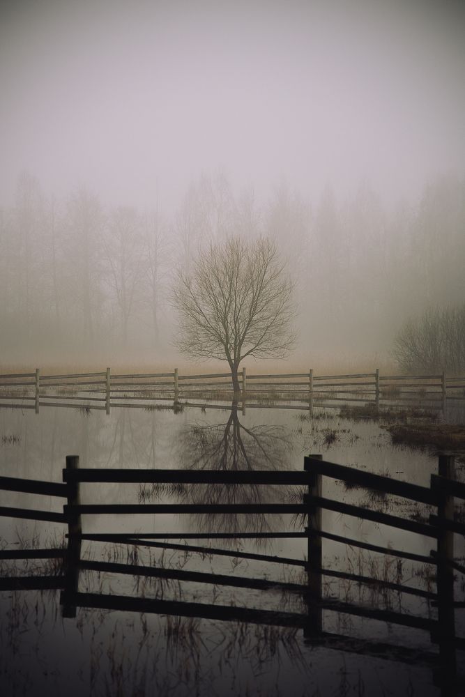 Photograph by Viktorija