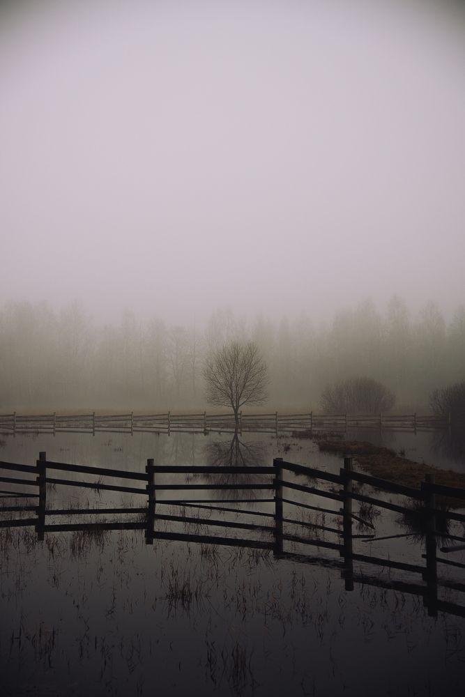 Photograph by Viktorija