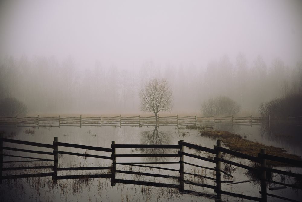 Photograph by Viktorija