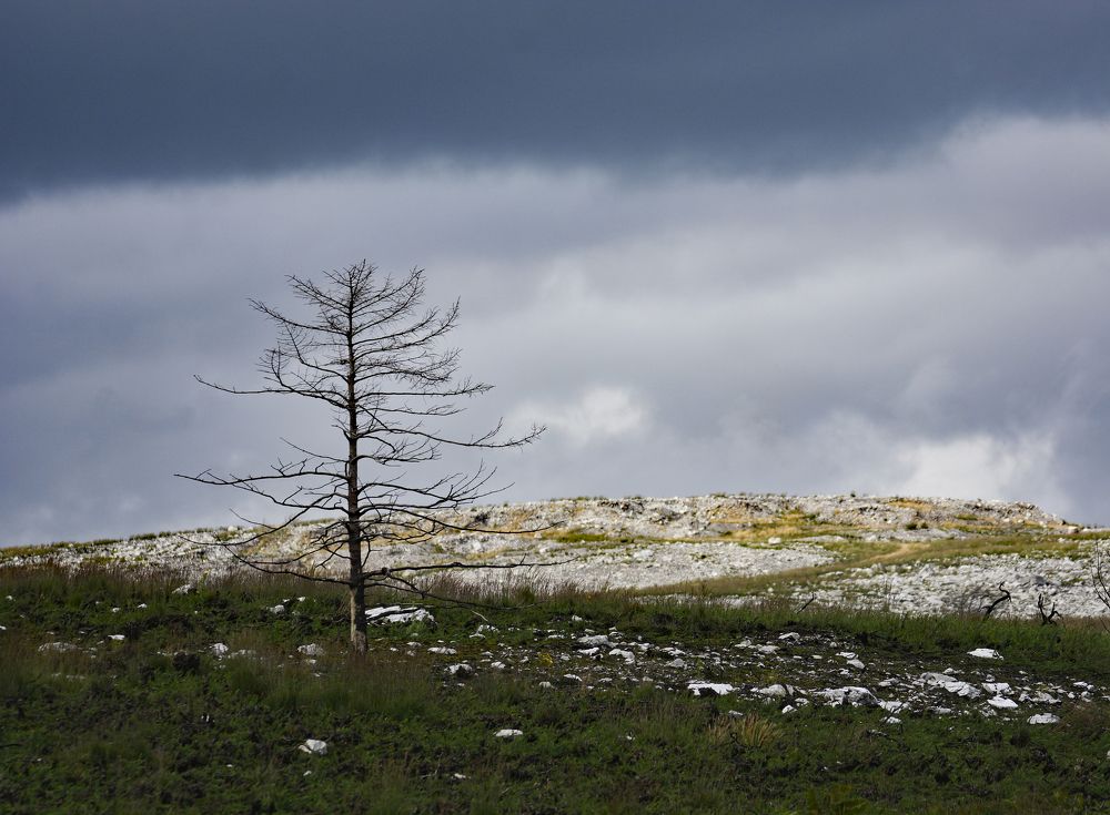 Фотография автора YANN JACOB