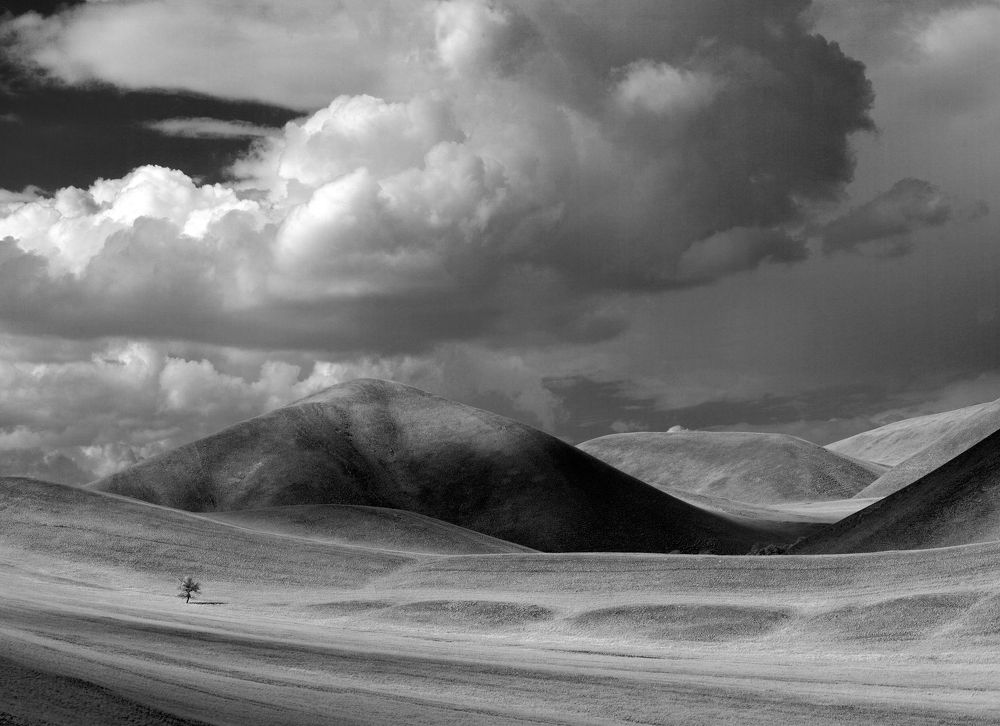 Фотография автора Грачёв Олег