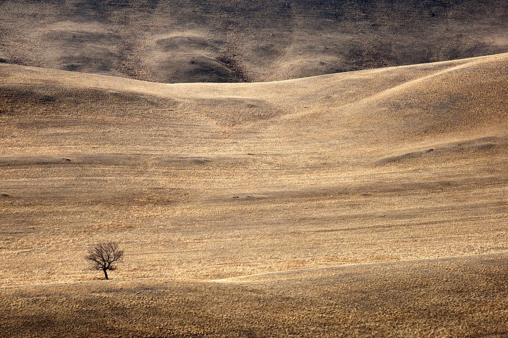 Фотография автора Грачёв Олег