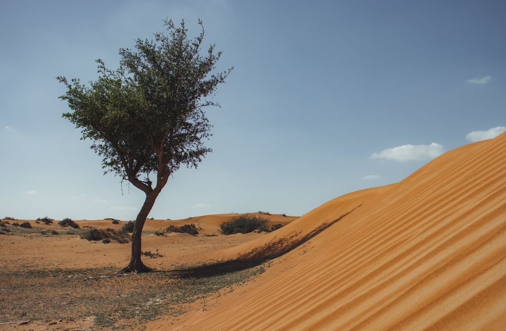 Photograph by Юлия Соболева