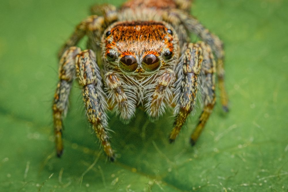 Photograph by БОРИС БЕЛКАНИЯ