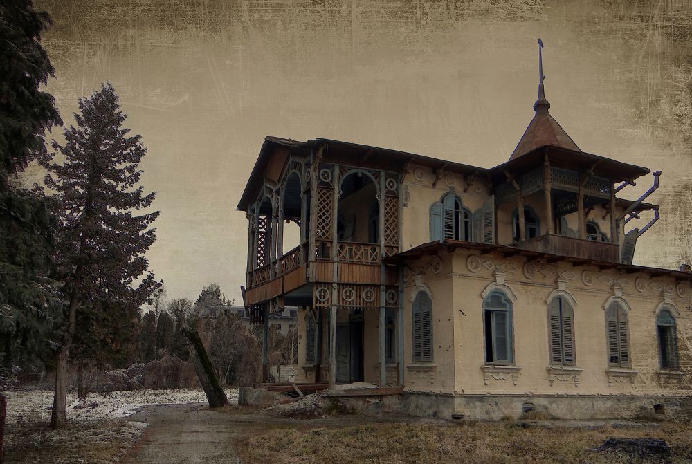 Photograph by Ирина Шипунова