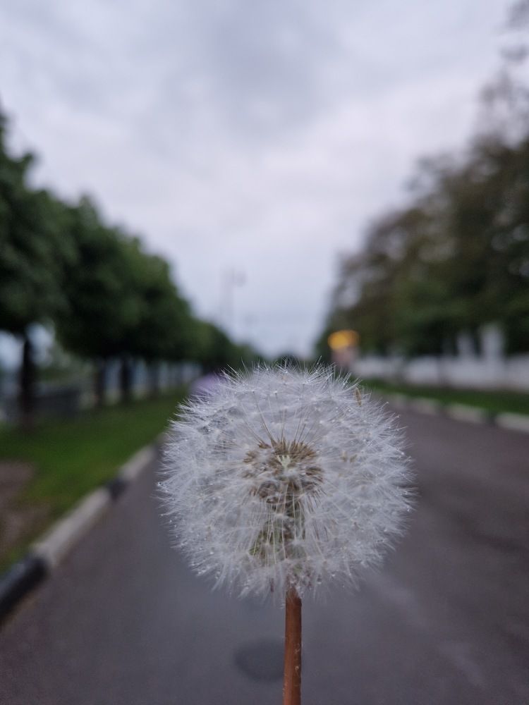Photograph by Николай Бучнев