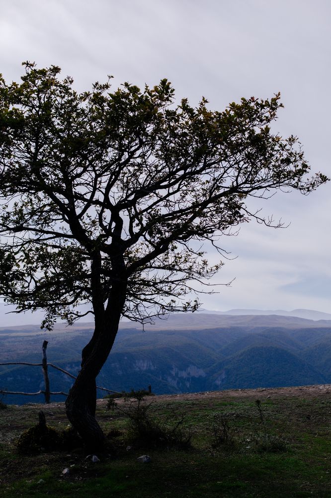 Photograph by Анастасия Шаехова