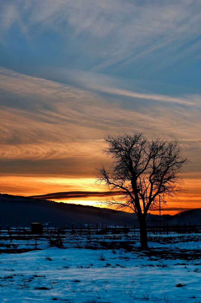 Photograph by Славов Георги