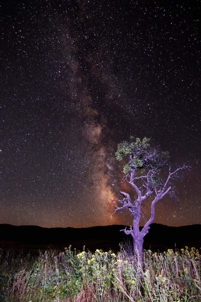 Photograph by Славов Георги